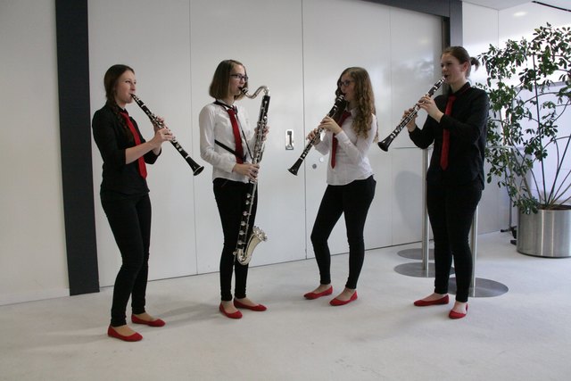 Der Landeswettbewerb "prima la musica" für klassische Musik ist einer der größten Wettbewerbe im Musikschulwesen. | Foto: Privat