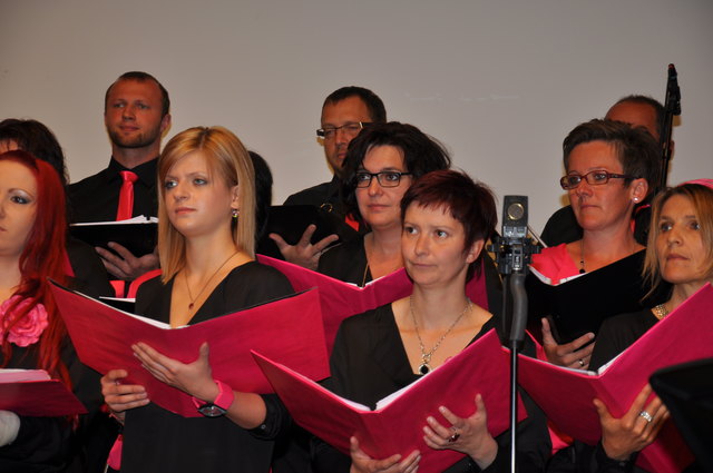 Der Sonabiles Chor verzaubert sein Publikum im Freistädter Salzhof.