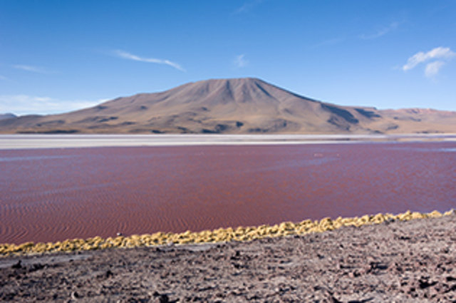 Laguna Colorada