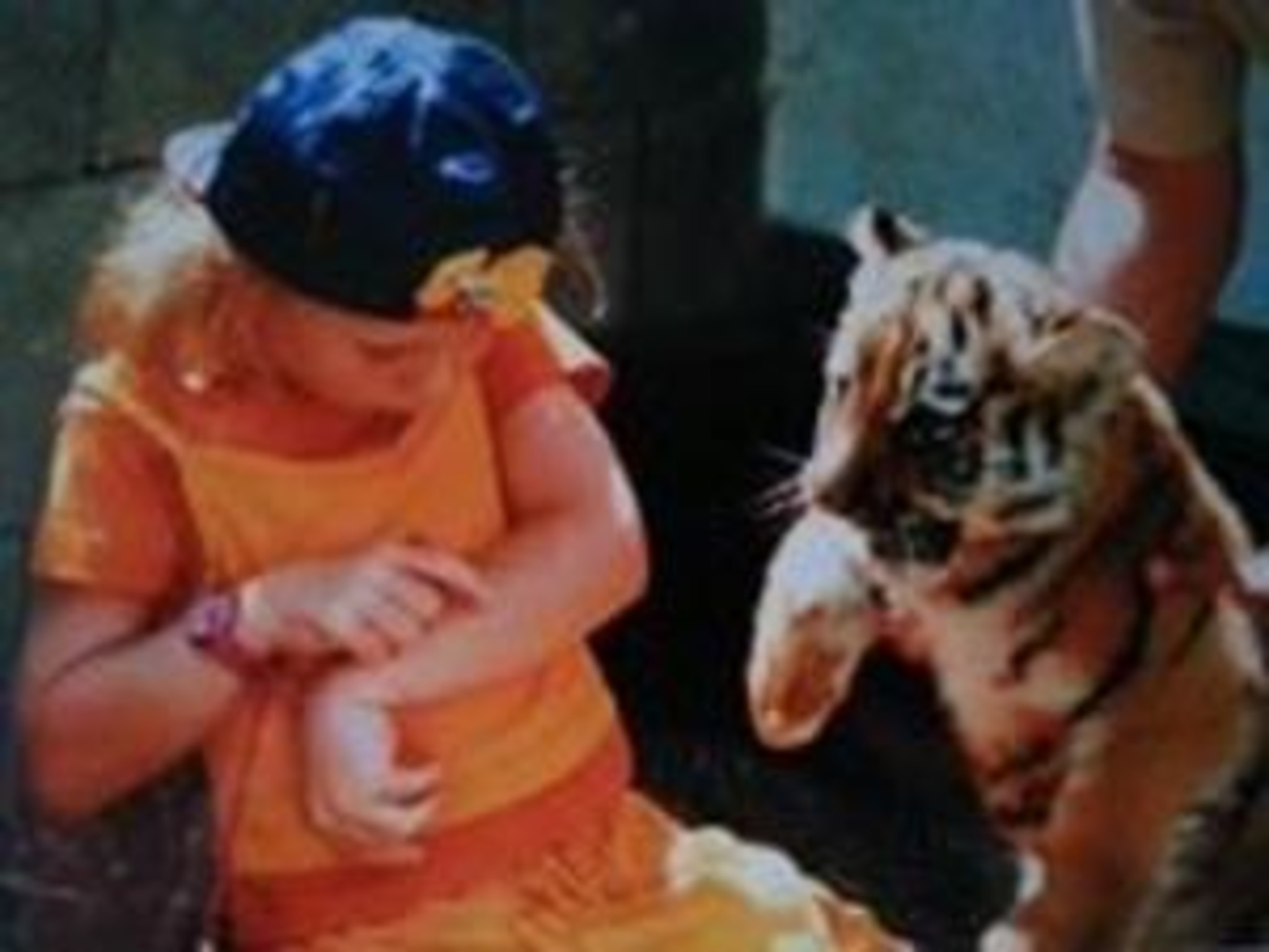 Gott schuf die Katze, damit der Mensch einen Tiger zum Streicheln hat ...