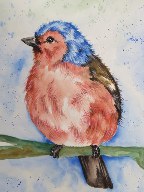 Oder vielleicht doch lieber ein Buchfink? Wer sich nicht entscheiden kann, darf ruhig auch mehr als einen Piepmatz aufs Papier bannen...