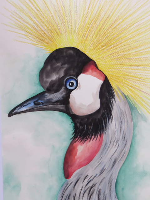 So ein Exot wie der Kronenkranich macht sich durchaus auch sehr schön auf einem Vogelbild- und freut hoffentlich nicht nur den Maler sondern auch die Betrachter ;)