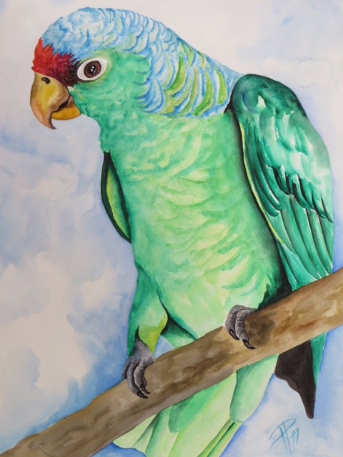 Ob Buntstift oder Wasserfarben, Papagei oder Spatz... Ganz egal! Nur ein Vogel sollte es sein, den man heute im Gedenken an die kleine Dorie aufs Papier bringt