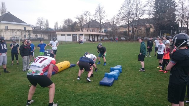 Foto: Carinthian Lions