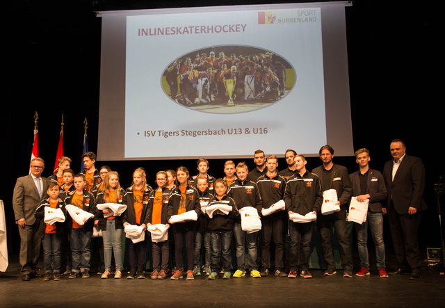 Die Tigers" aus Stegersbach holten 2015 in der U13 und in der U16 den Staatsmeistertitel. | Foto: Landesmedienservice