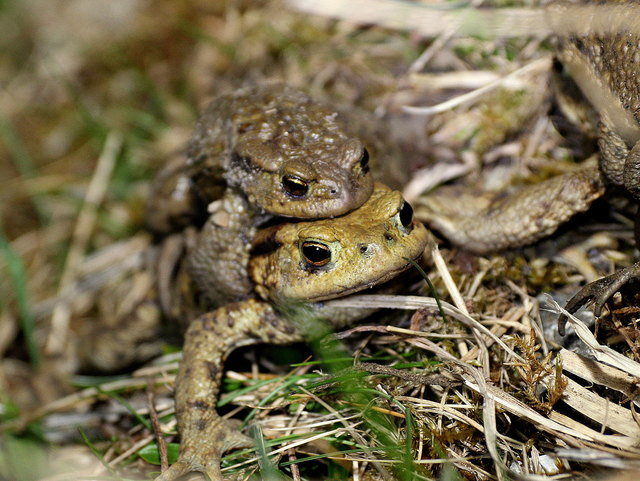 Wir haben uns doch lieb.....