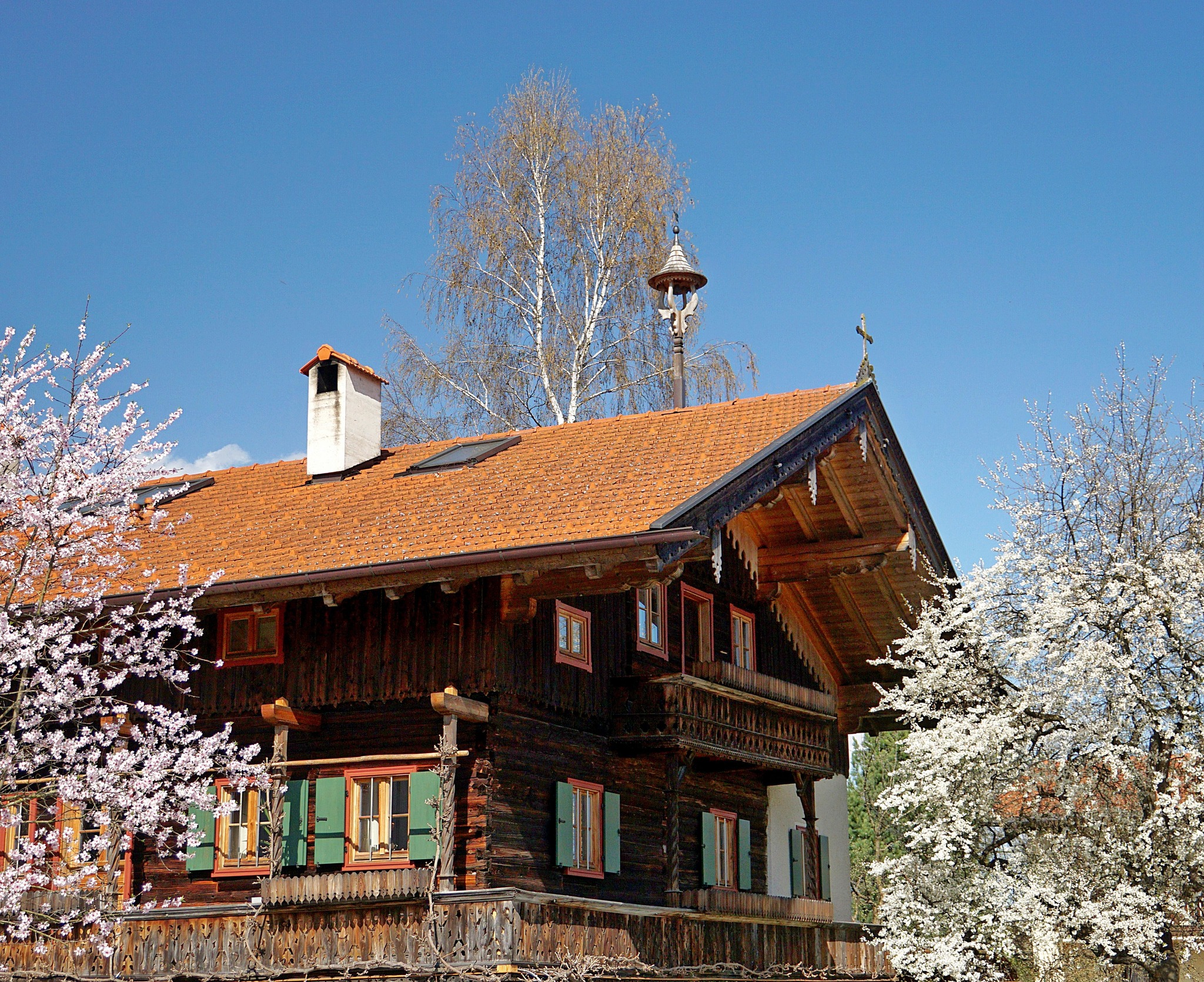 blühende Bäume vor dem Bauernhaus Kufstein