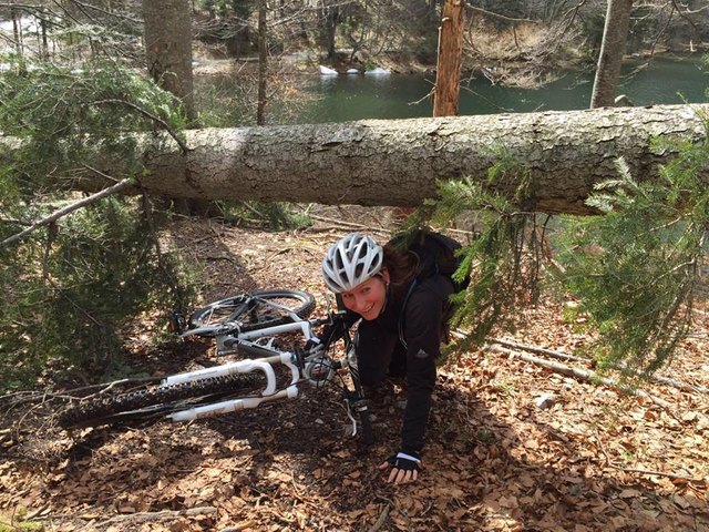 Grünberg bei Gmunden