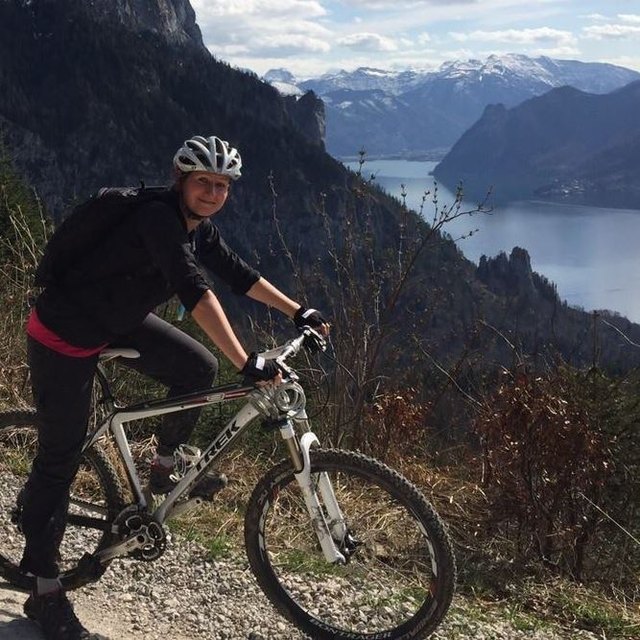 Blick auf den Traunsee