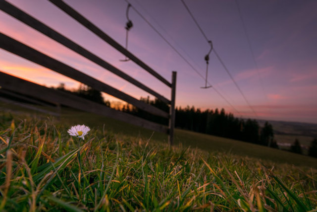 Salzburg Seenland: Eugendorf | Foto: Klaus Krumböck