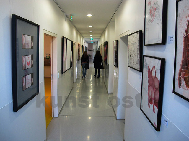 Die öffentlichen Räume der Tierklinik Gleisdorf Süd