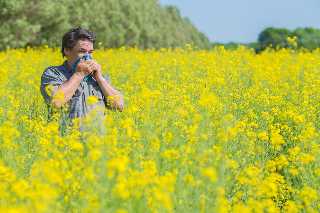 Spazierengehen oder Spielen in den Wiesen während der Hauptblüte sollte vermieden werden. | Foto: panthermedia.net/ryzhkovoleksandr