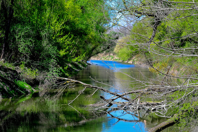 Donau Altarm, bei Orth an der Donau