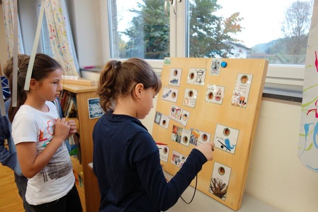 Spielerisch lernten die Schüler der VS Eisbach, wie Abfall richtig getrennt wird.
