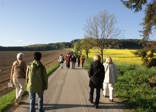 Unterwegs Richtung Franzosenwald
