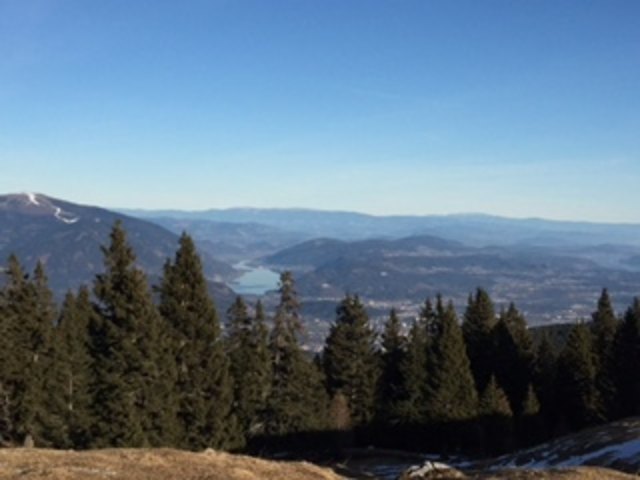 Er ist aus Südostafrika zurück ins Kärntnerland und verkündet uns mit Ausdauer seinen Ruf: Kuckuck! Kuckuck!