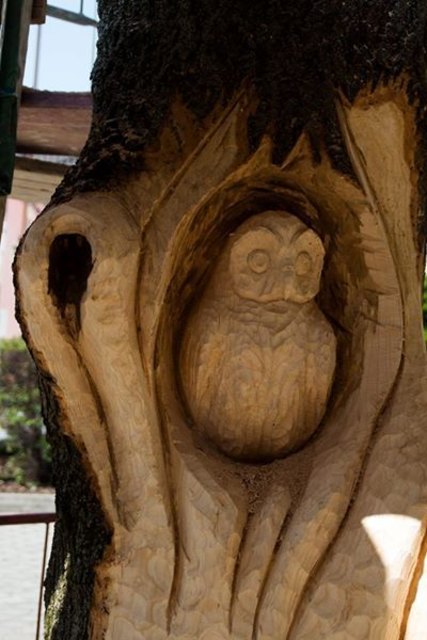 Eine Eule sitzt im Baum: Eine naturgetreue Skulptur ist am Hundsheimer "Platz der Menschenrechte" am Entstehen. | Foto: Würthner