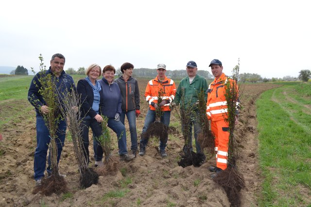 Bgm. Salamon mit Bauhofleiter Dorner und Mitarbeitern der Lieferfirma und des Bauhofs. | Foto: Stadtgemeinde