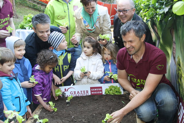 Salatbauer Andreas Reiter aus Thondorf motivierte die Kinder, die Erde zu kitzeln und zu streicheln. Da machten die Kinder des Kindergartens Kaiser-Franz-Josef-Kai gerne mit und wühlten in der Erde.