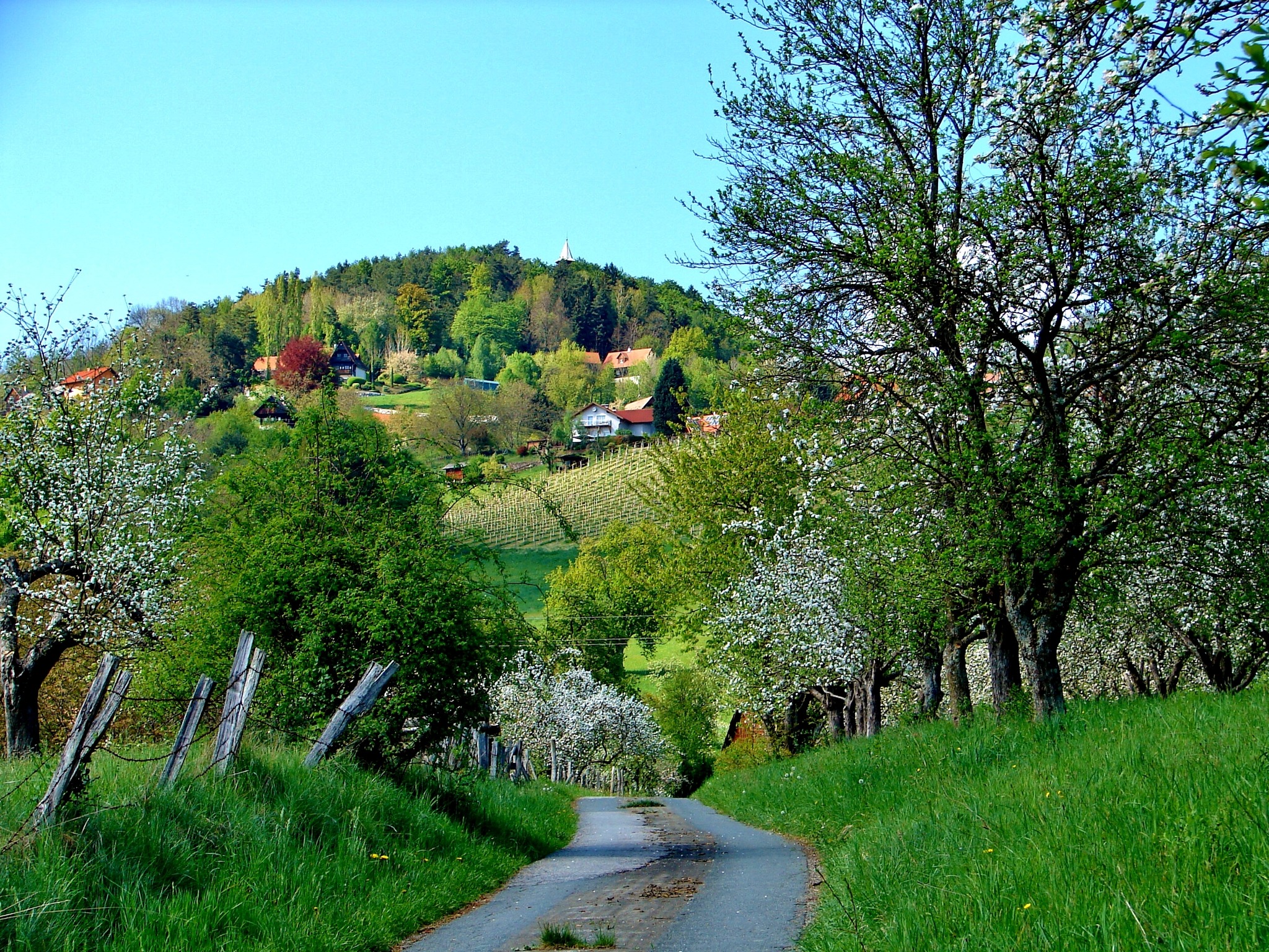Natur in ihrer schönsten Ausprägung - Graz
