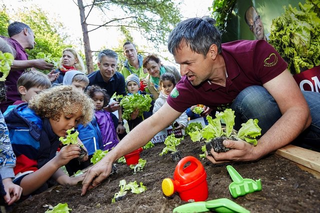 So pflanzt man den Grazer Krauthäuptel – den Kindern hat's jedenfalls sichtlich Spaß gemacht. | Foto: Melbinger, Paulitsch