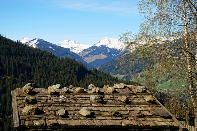 ... im Wildpark in Oberaurach bei Kitzbühel