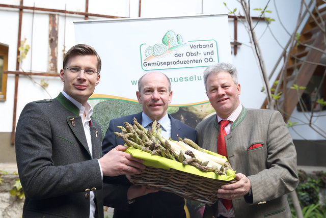 Karl Ferdinand Velechovsky (Nussböckgut), Agrar-Landesrat Max Hiegelsberger und Karl Grabmayr, Vizepräsident Landwirtschaftskammer OÖ (v. l.). | Foto: Land OÖ/Liedl