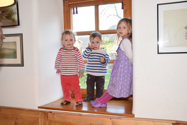 Die Zwillinge Josefine und Leopold (11/2) und Schwester Paulina (4 1/2) Wiborny-Lepschy. Das Fenster ist gesichert. | Foto: Schwameis