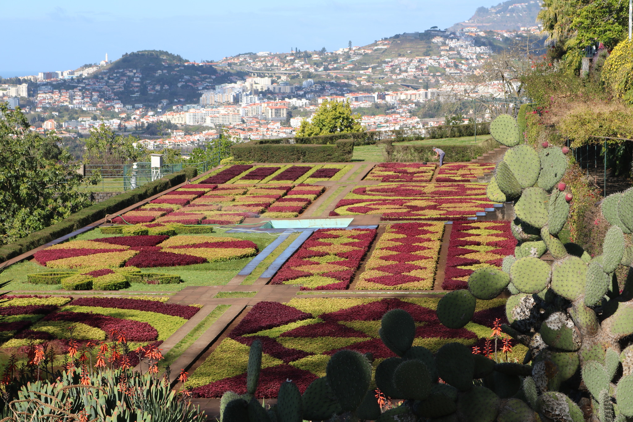 60+ Funchal Botanischer Garten Oder Tropischer Garten, Grandios ist