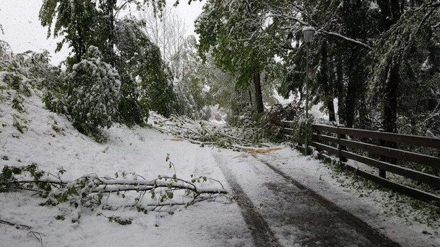 Camping Vassachersee | Foto: FF Vassach, via Facebook