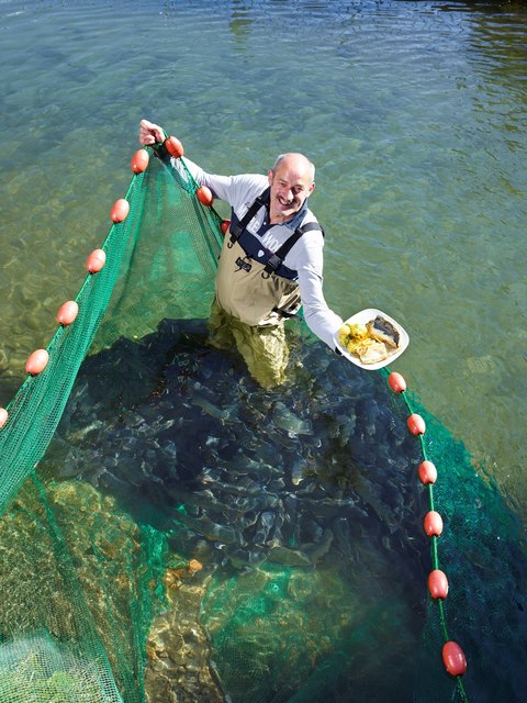 Der Fischzüchter Siegfried Gruber holt seine Saiblinge aus dem glasklaren Gebirgswasser | Foto: Foto: Johannes Puch