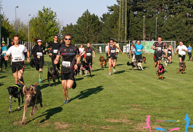 Massenstart am Sportplatz © SpeedRunners.at