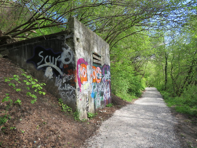 Farbenfrohes an der Promenade durch die frühlingsgrünen Zirler Innauen