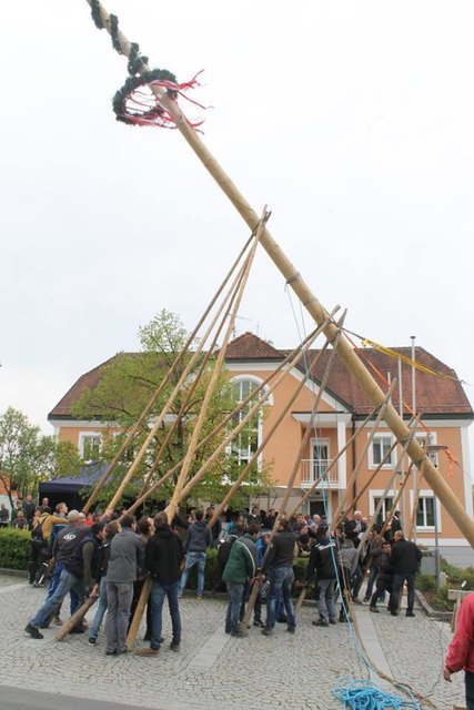 Wenn der Maibaum wieder am Dorfplatz steht - Schärding