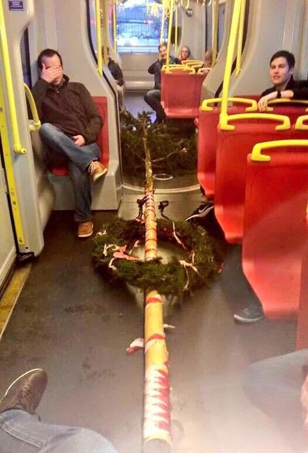 Der Maibaum wurde in der der Linie 41 gesichtet. | Foto: Andrea Prinz