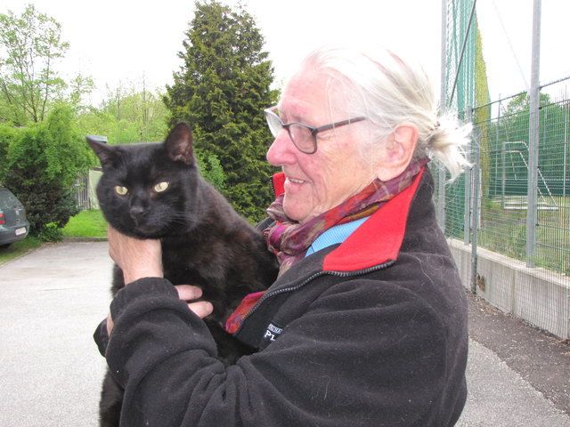 Rita Klinger, Tierheim Hallein, kann dem neuen Gesetz zur Kastrationspflicht viel Positives abgewinnen.