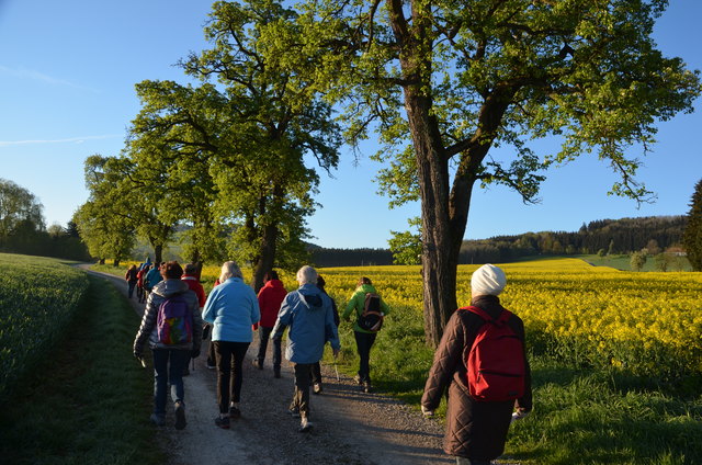Nahe dem Franzosenwald