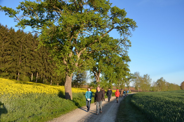 Wunderbare Morgenstimmung