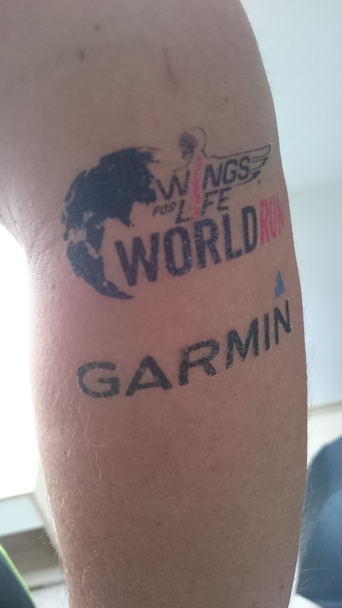 Wings for life Worldrun 2016 Ljubljana Südoststeiermark