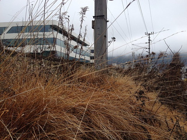 Bahndamm, Innsbruck | Foto: © Nicola Weber