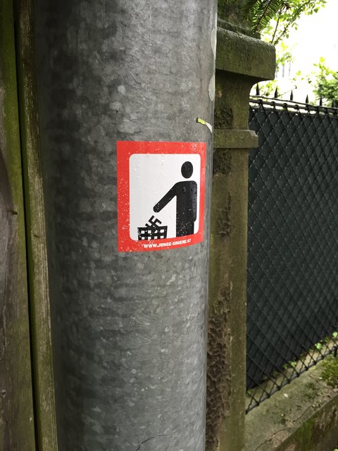 Junge Linke engagieren sich in St. Pölten gegen Rassismus und Faschismus.