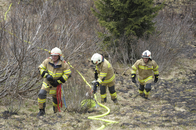 Foto: Franz Neumayr; www.neumayr.cc