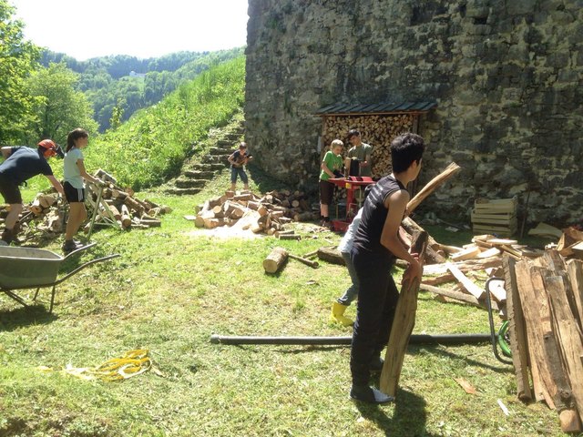 Viele fleißige Hände beim Brennholz machen!