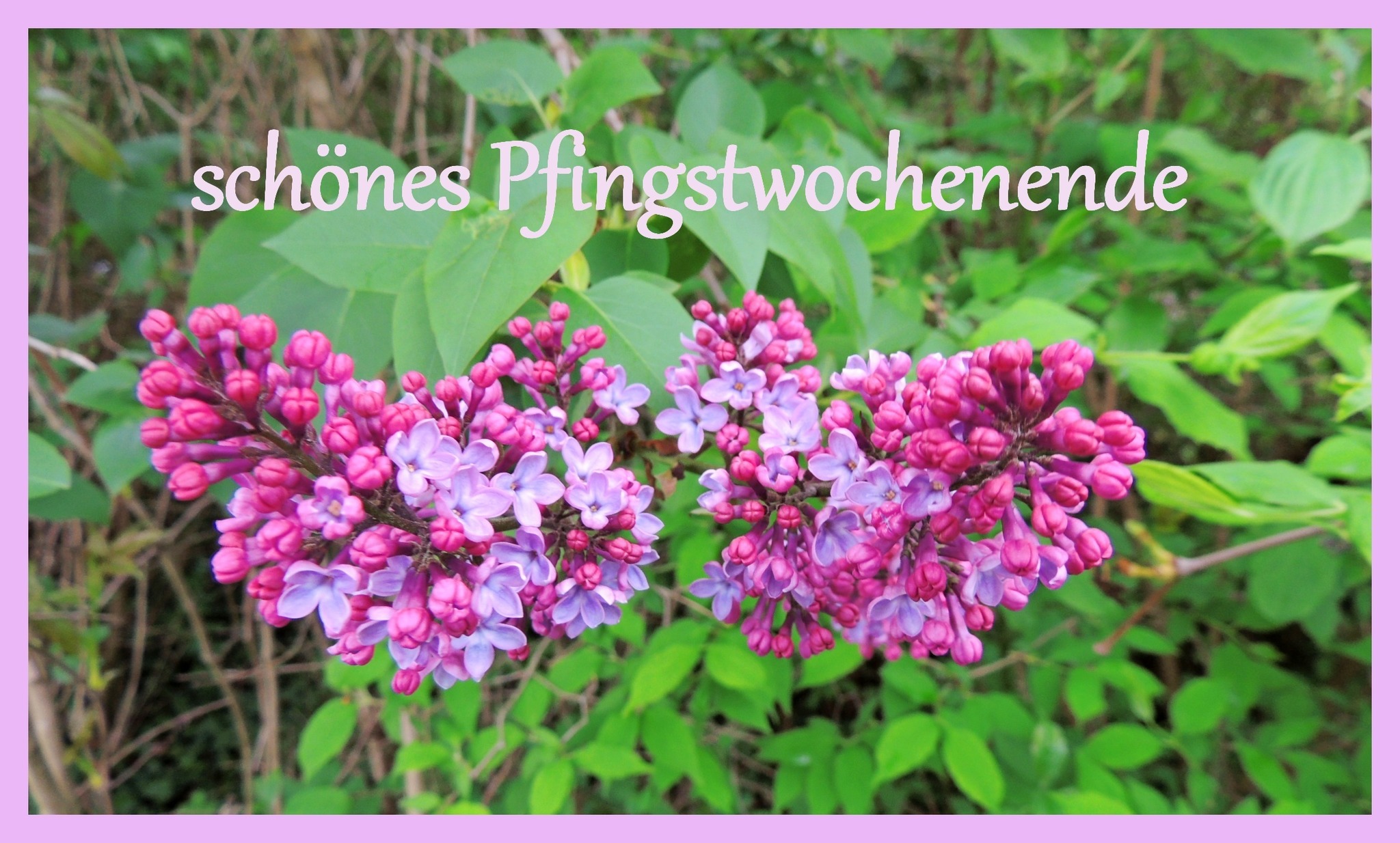 wir wünschen euch ein schönes pfingstwochenende
