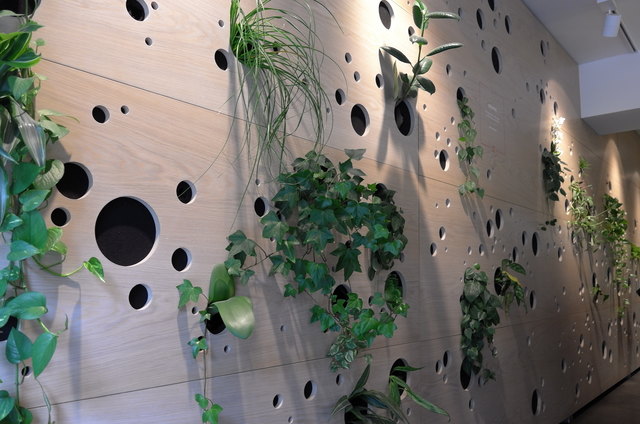 Multifunktionale Pflanzwand im taiwanesischen Restaurant Fu Cheng. | Foto: Knopp/Rainer