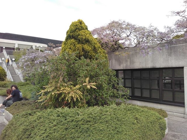Grünflächen beim Neuen Rathaus. | Foto: Knopp/Rainer