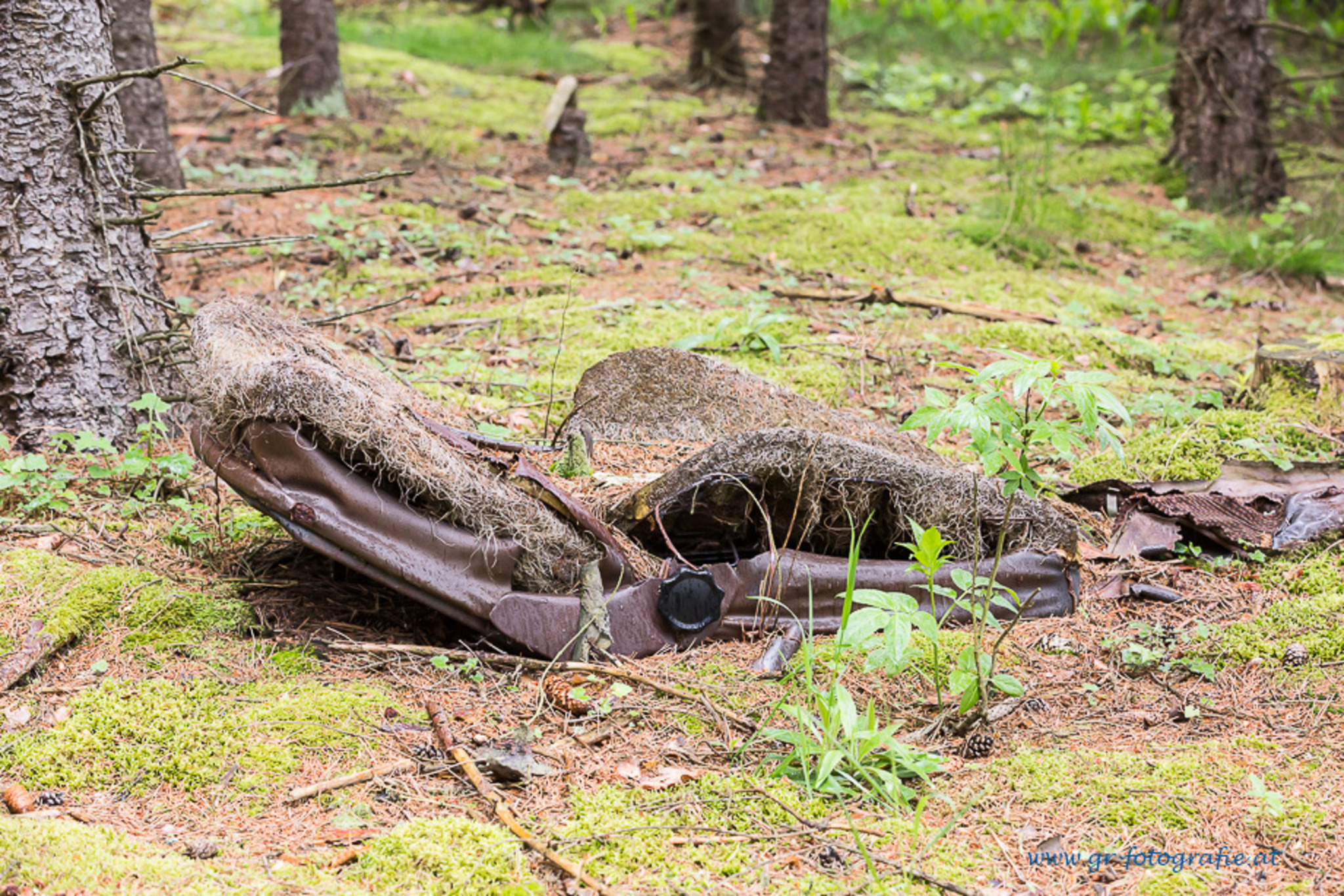 Der Wald ist keine Mülldeponie! - Gmünd