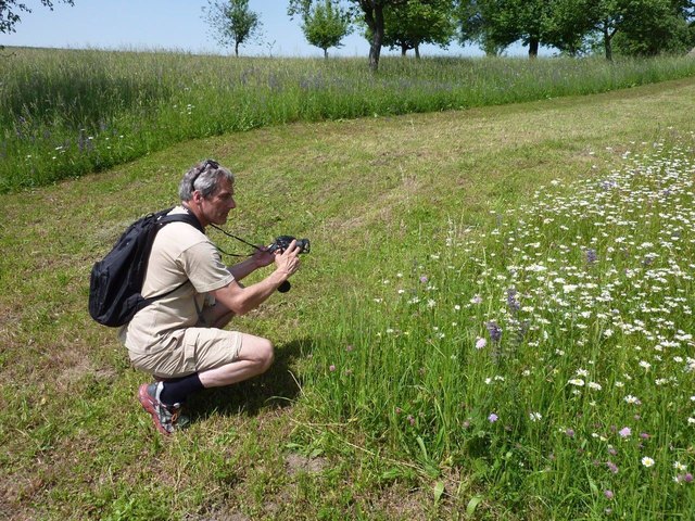 Friedrich Schwarz ist seit 25 Jahren Naturschutzbeauftragter in Linz und kennt die Stadtnatur wie kein Zweiter. | Foto: Botanischer Garten