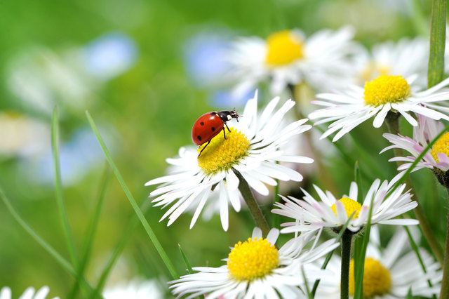 Hans Gnamm berichtet über den Weg zum Glück. | Foto: K.-U. Häßler/Fotolia