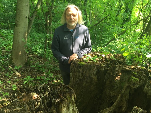 Christian Tomiczek bei einer der Fundstellen. Die Larven verbergen sich im toten Holz.